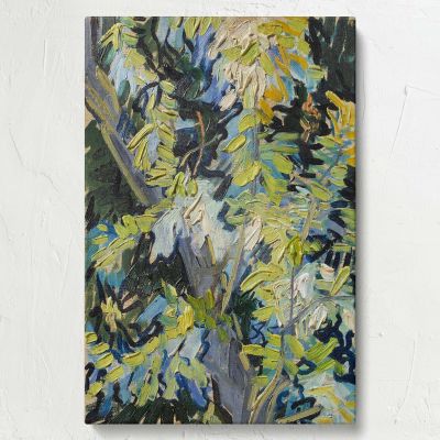 Blossoming Acacia Branches by Van Gogh - Botanical Flower Art Print