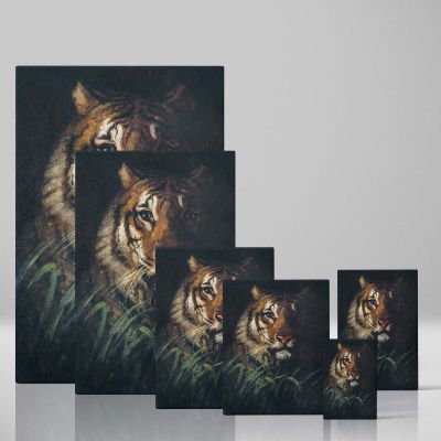 Tiger Head - Majestic Wildlife Portrait By Abbott Handerson Thayer 