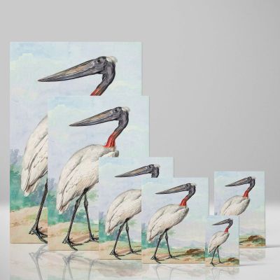Jabiru - Serene Long-Legged Bird in Landscape By Aert Schouman 