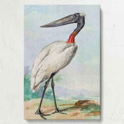 Jabiru - Serene Long-Legged Bird in Landscape By Aert Schouman 