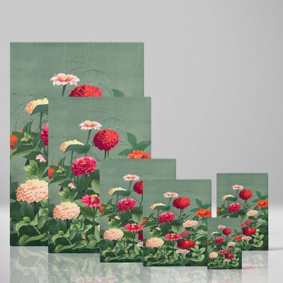 Flowers - Colorful Vintage Zinnia Blooms By L. Prang & Co. 