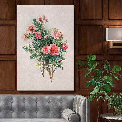 Roses - Antique Botanical Rose Bouquet By L. Prang & Co. 