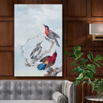 Three Crimson Sunbirds - Red Birds on Branches By Aert Schouman 