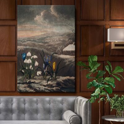 The Snowdrops - Botanical Flowers and Scenic Background By Robert John Thornton 