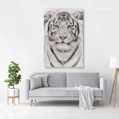 White Tiger Canvas Wild Animals Photography Canvas Photo Print Poster / Rolled Canvas Wall Artwork ation Wall Mural Hangings Gift