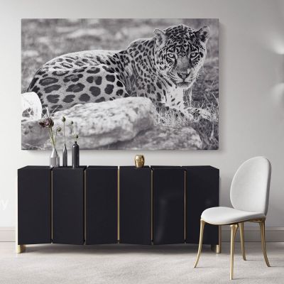 Large Tiger Black and White Photography Canvas Print Poster Love Wall Art Housewarming Gift Wild Animals Photo Wall Mural Hanging
