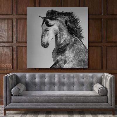 Horse Lovers Dapple Grey Spanish Horse Canvas with Frame
