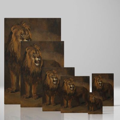 Lion from Menagerie - Majestic Wildlife Scene 1808 By Pieter Gerardus van Os 