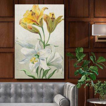 Yellow and White Lilies - Elegant 18th Century Florals By William van Leen  