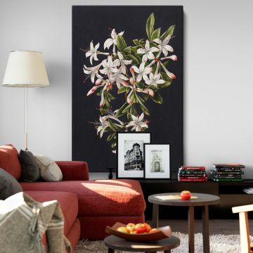 Floral wall canvas print of "Branch of Azaleas in Bloom" by M. de Gijselaar, highlighting exquisite botanical details of azalea blossoms on a black background, perfect for creating a serene and stylish ambiance in your home or office.
