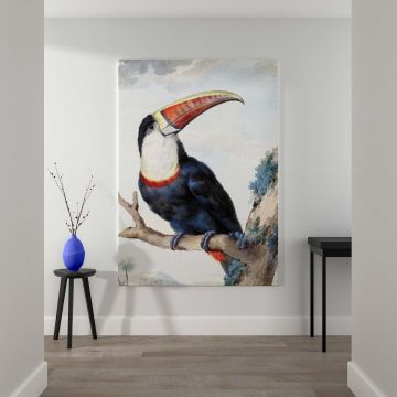 Stunning reproduction of Aert Schouman's 18th-century Red-billed Toucan painting, showcasing vivid tropical colors, lifelike details, and exquisite craftsmanship, perfect as a decorative high-quality wall canvas for art and nature enthusiasts.