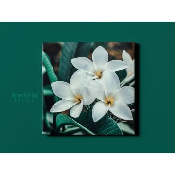 Portrait Tropical Flowers Leaves Canvas for Green Leaves Canvas Wall Art