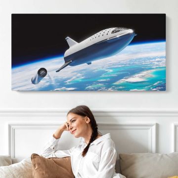 BFR Spacecraft Stage Separation (2018) canvas print, interior display view