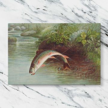 Leaping Brook Trout canvas artwork displayed on a marble background
