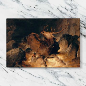 Deer and Deer Hounds in a Mountain Torrent canvas artwork displayed on a marble background