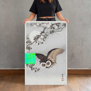 Scops Owl with Cherry Blossoms and Moon by Ohara Koson canvas print, held for scale