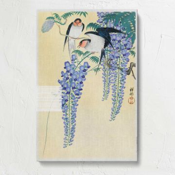 Swallows and Wisteria by Ohara Koson canvas print, front view