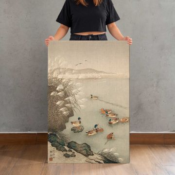Mallard Ducks beside Pampas Grass by Ohara Koson canvas print, held for scale