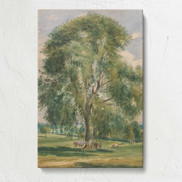 Large Tree in a Summer Landscape with a Horse canvas print, front view