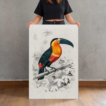 Toucan on a Branch canvas print, held for scale