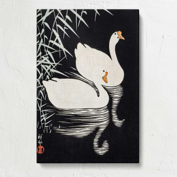 White Chinese Geese Swimming by Reeds by Ohara Koson canvas print, front view