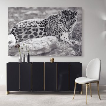 Large Tiger Black and White Photography Canvas Wall Art