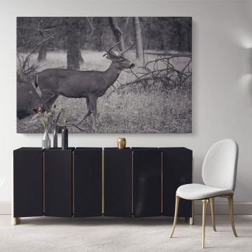 Reindeer Black and White Photography Canvas Wall Art
