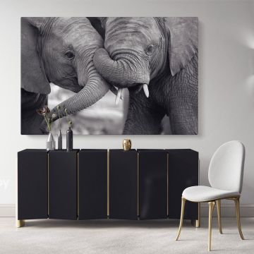 Black and White Elephants Photography Canvas Wall Art