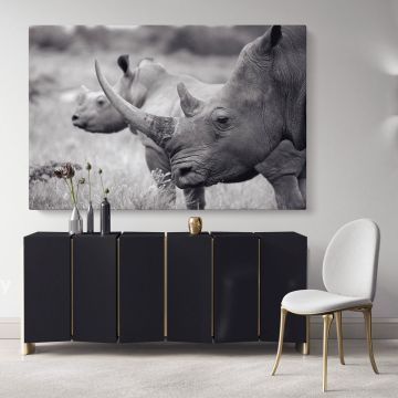 Rhinoceros Black and White Photography Canvas Wall Art