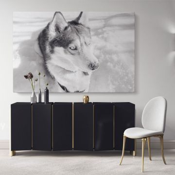 Husky Wolf Black and White Photography Canvas Wall Art
