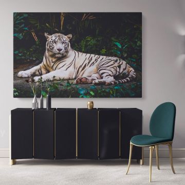 Large White Tiger Canvas Photography Canvas Wall Art