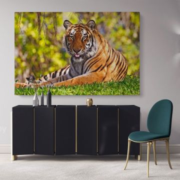 Large Tiger wall art Wild Animals Canvas Wall Art