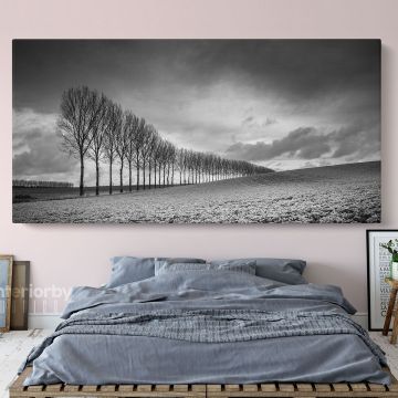 Panoramic Black and White Photography Canvas Wall Art