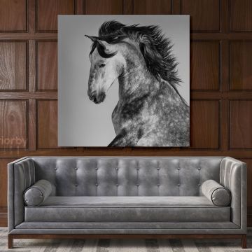 Horse Lovers Dapple Grey Spanish Horse Canvas with Frame