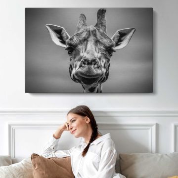 Giraffe in Monotone canvas print, interior display view