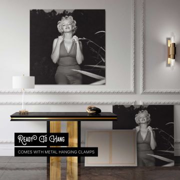 Marilyn Monroe - Ted Baron Photoshoots in Palm Springs 1954 — console room view