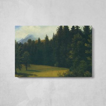 Pine Forest Clearing - canvas rear frame and hanging hardware