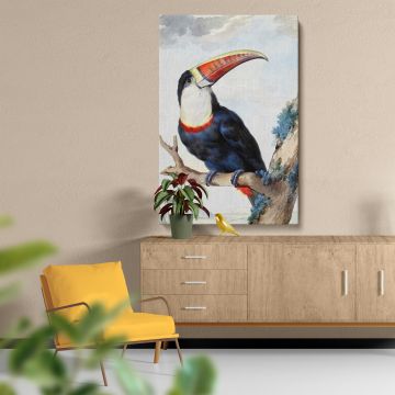 Red-billed Toucan (1748) by Aert Schouman canvas print, canvas shown with a person for scale