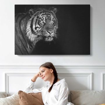Sumatran Tiger on black background canvas print, interior display view