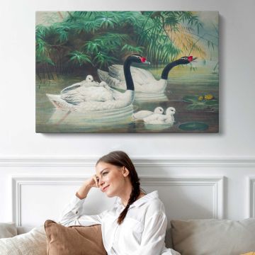 The Black-Necked Swan by Joseph Wolf canvas print, interior display view