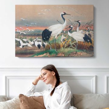 The Manchurian Crane by Joseph Wolf Canvas Print