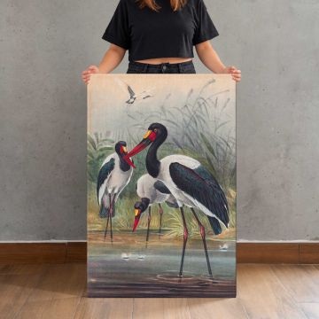 The Saddle-Billed Stork by Joseph Wolf canvas print, canvas shown with a person for scale