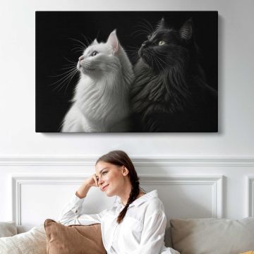 Two Cats in Black and White canvas print, interior display view