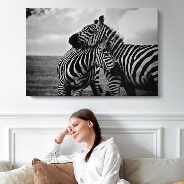 Zebras in Black and White canvas print, interior display view
