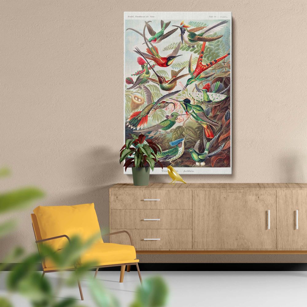Trochilidae Kolibris - Tropical Hummingbirds Scientific Print By Ernst Haeckel - Image 5