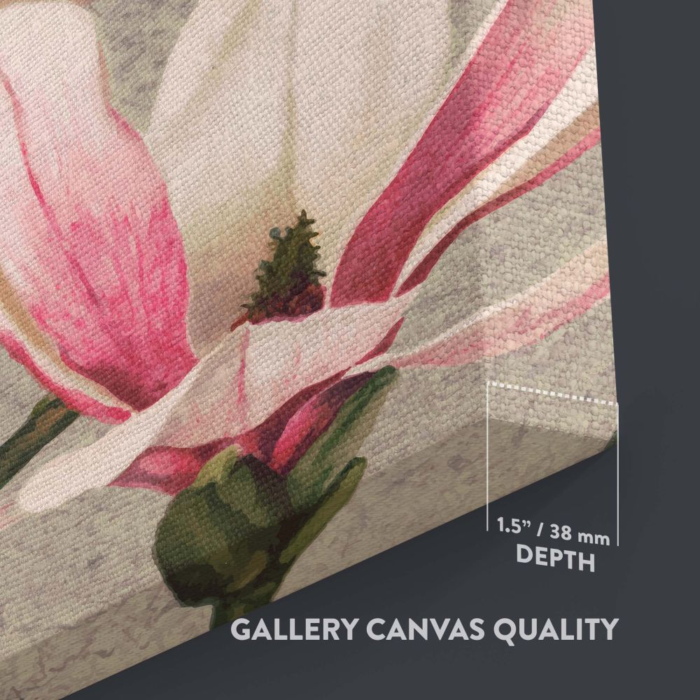 Magnolia - Soft Pink Blossoms on Gray Background By L. Prang & Co. canvas wall art - Image 3