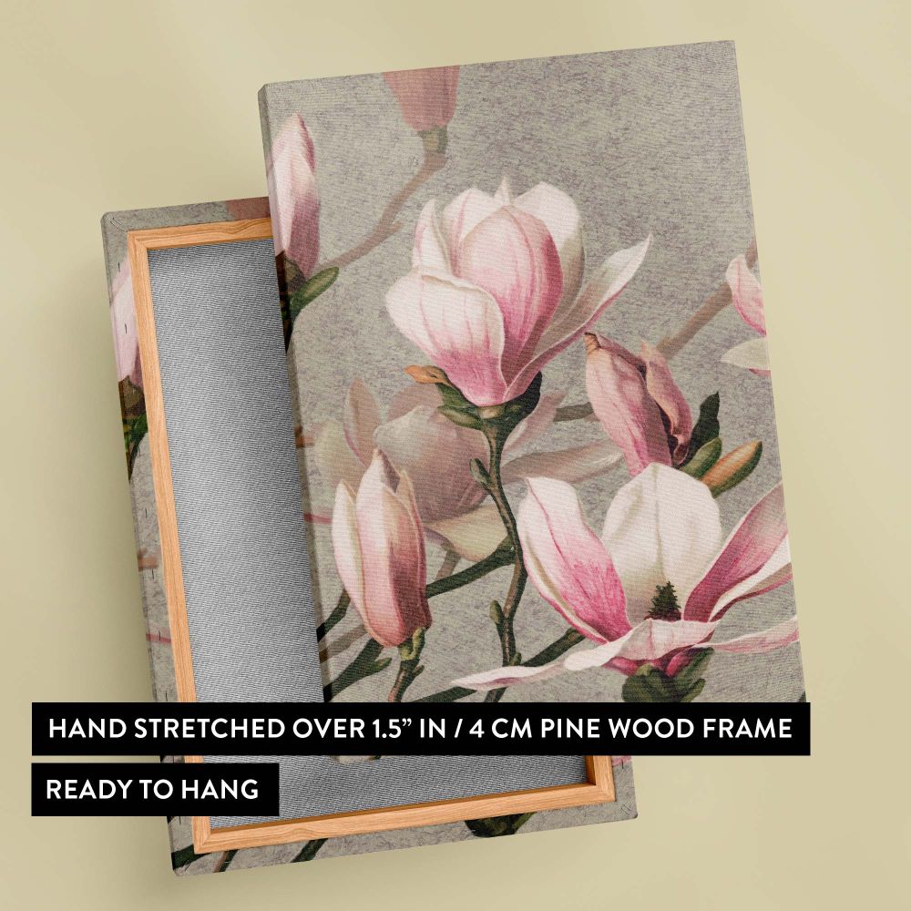 Magnolia - Soft Pink Blossoms on Gray Background By L. Prang & Co. canvas wall art - Image 6