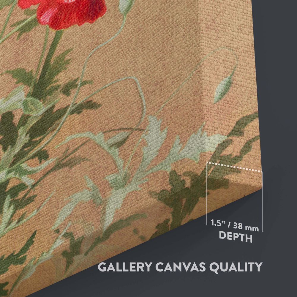 Poppies - Red and White Wildflowers Illustration By L. Prang & Co. canvas wall art - Image 3