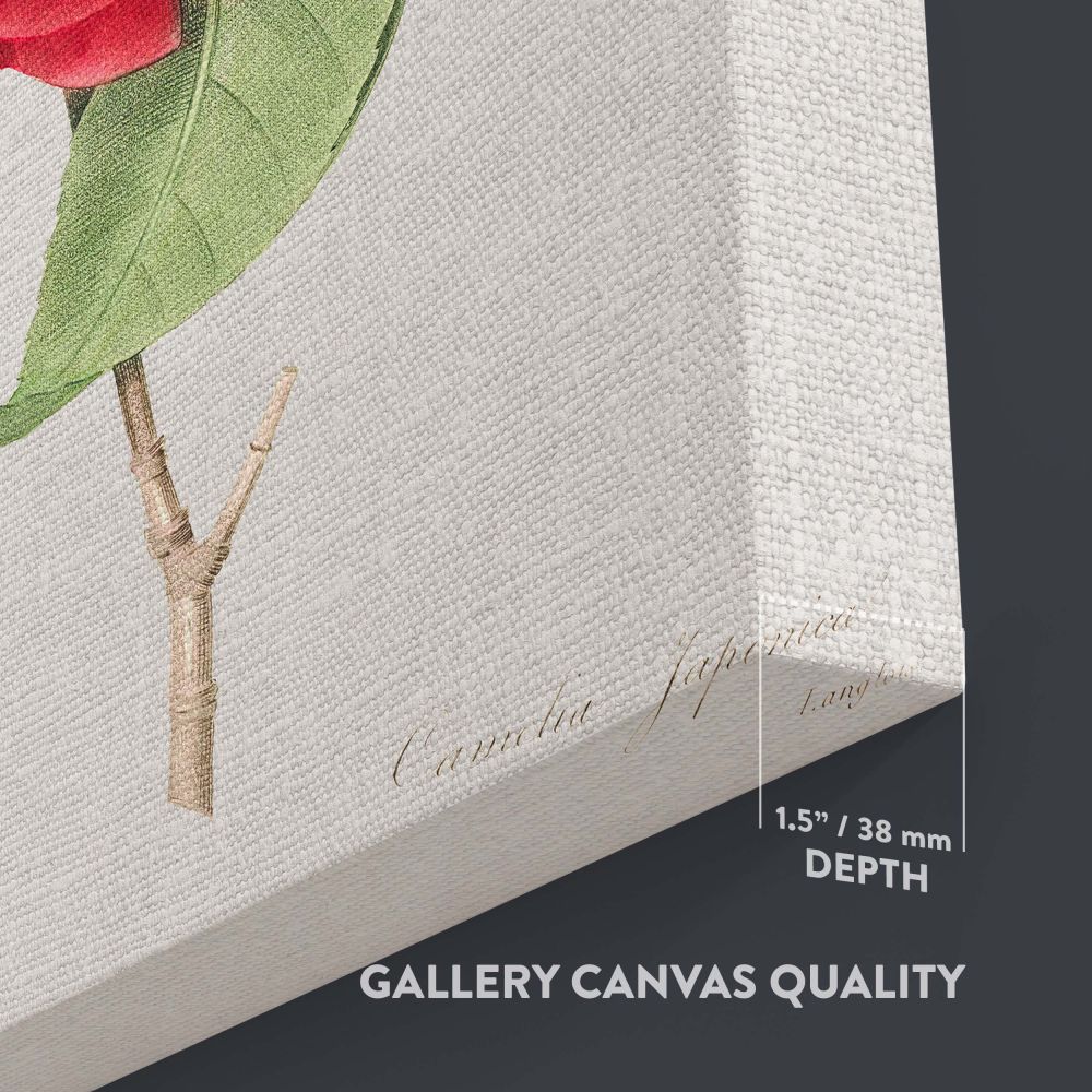 Red Rose - Lush Botanical Illustration with Leaves By Pierre-Joseph Redout canvas wall art - Image 3