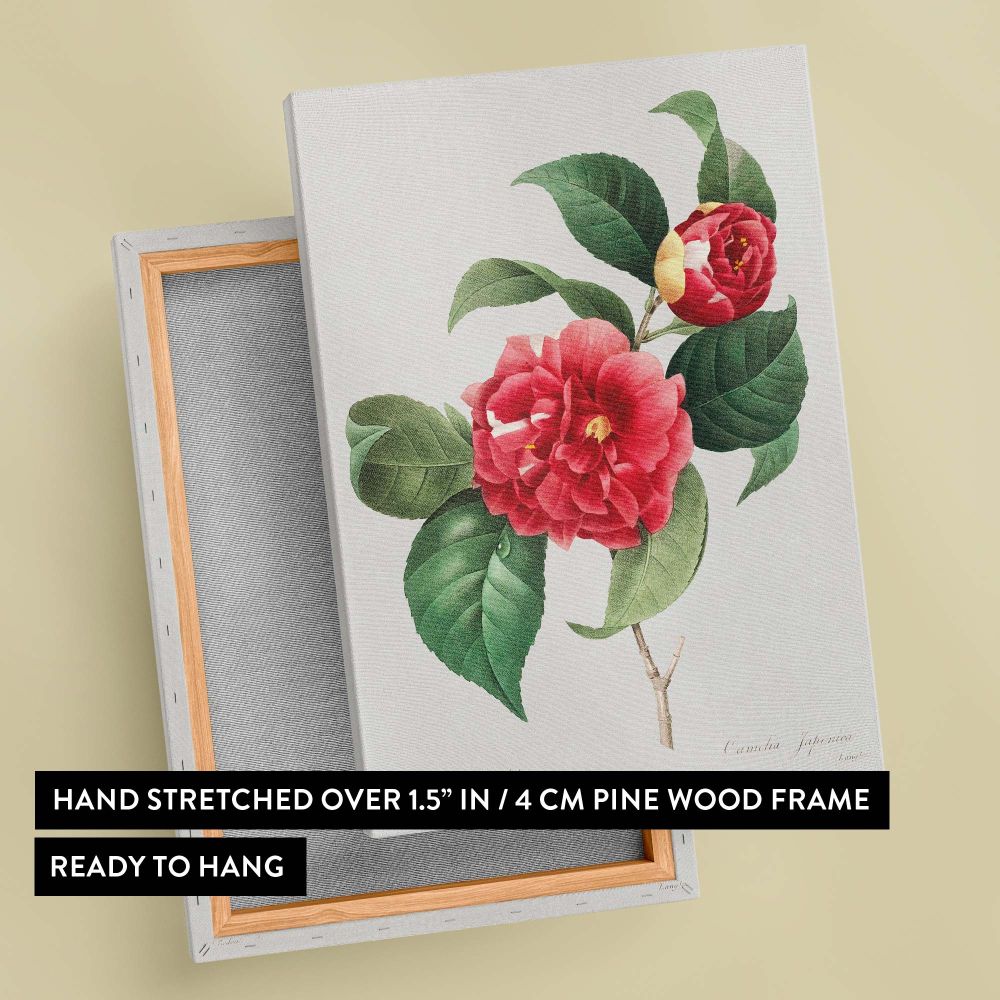 Red Rose - Lush Botanical Illustration with Leaves By Pierre-Joseph Redout canvas wall art - Image 6